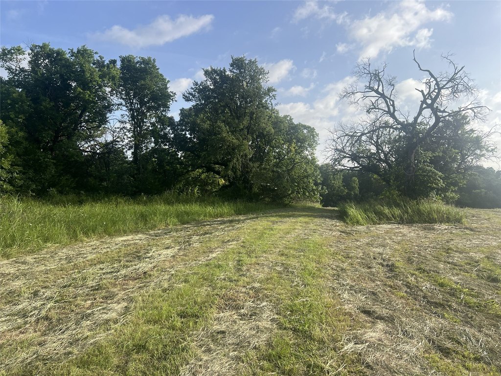 Picture 11