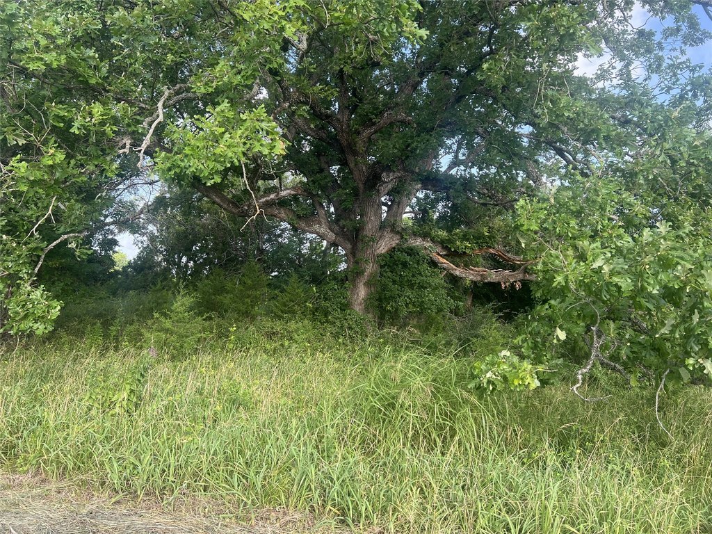 Picture 12