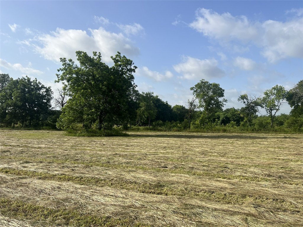 Picture 17
