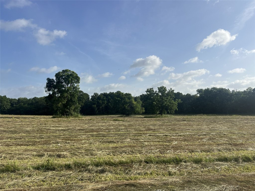 Picture 16