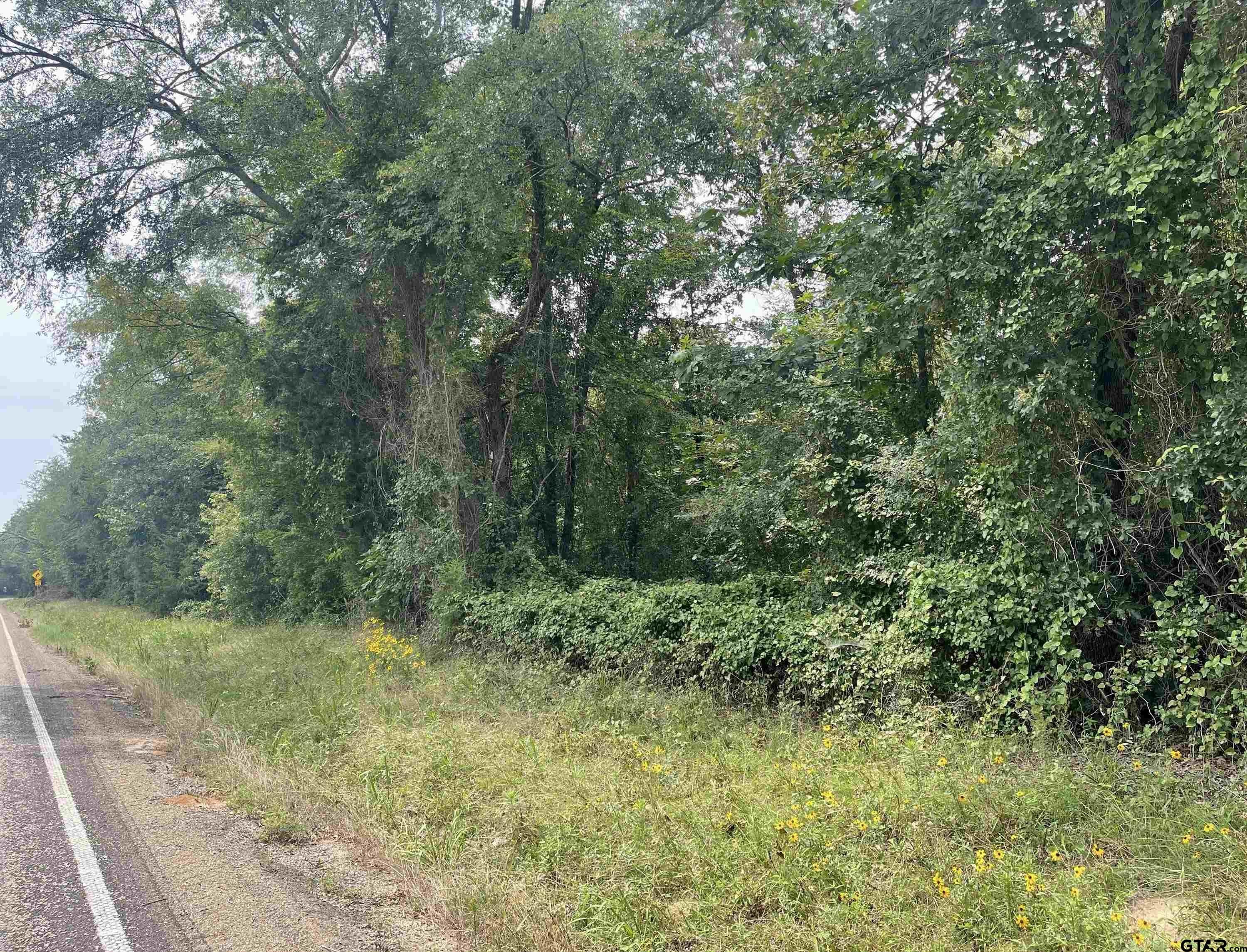 Wooded Land, Mobile Homes Allowed