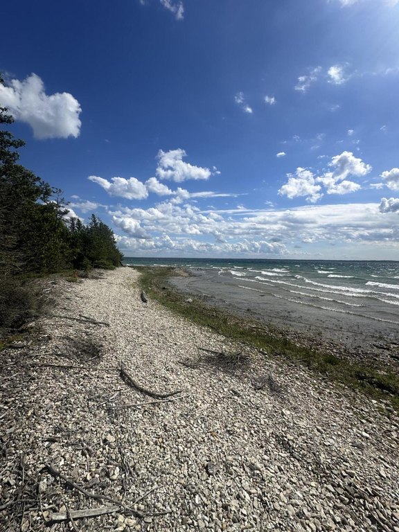 Picture 20