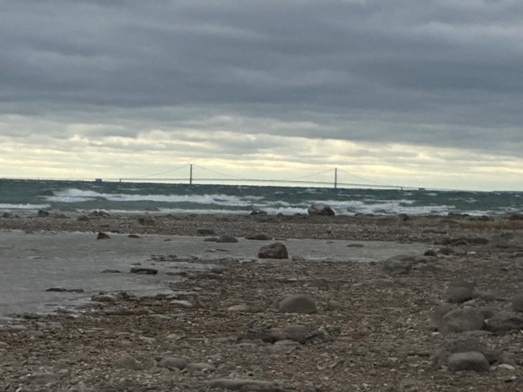 Picture 15