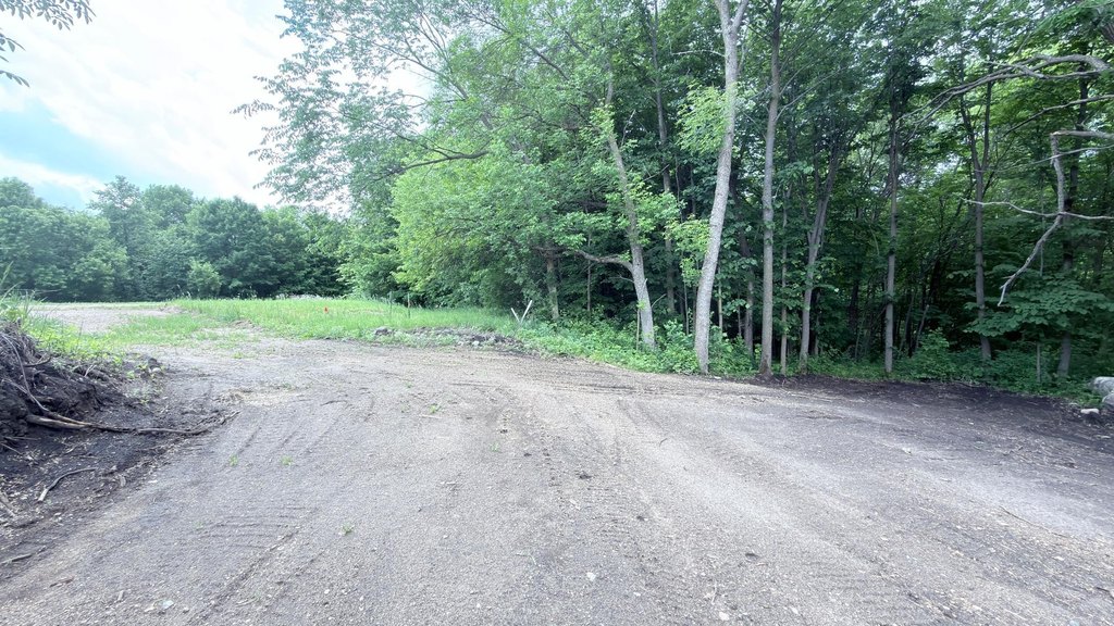 Picture 14