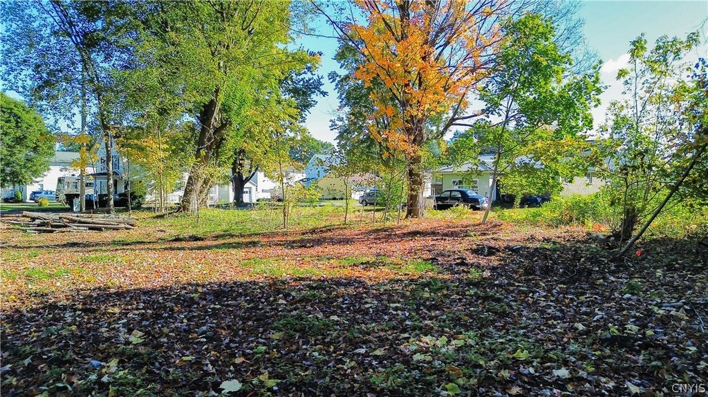 Picture 14