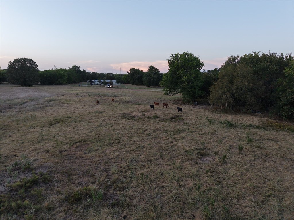 Picture 35