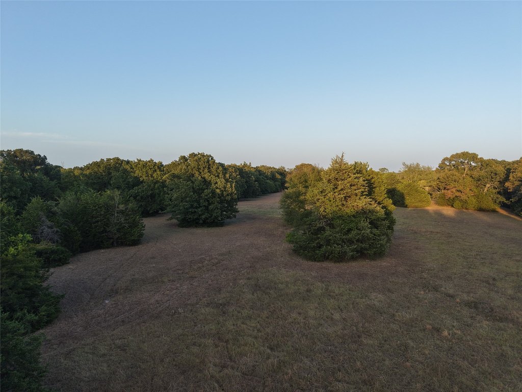 Picture 19