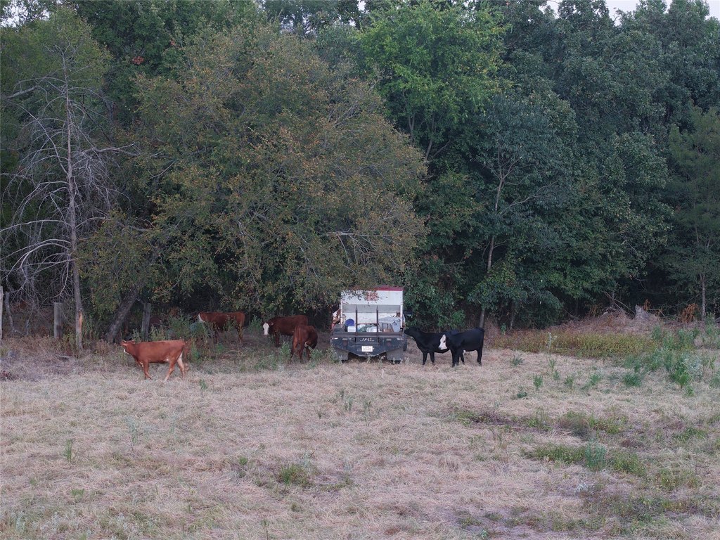 Picture 33