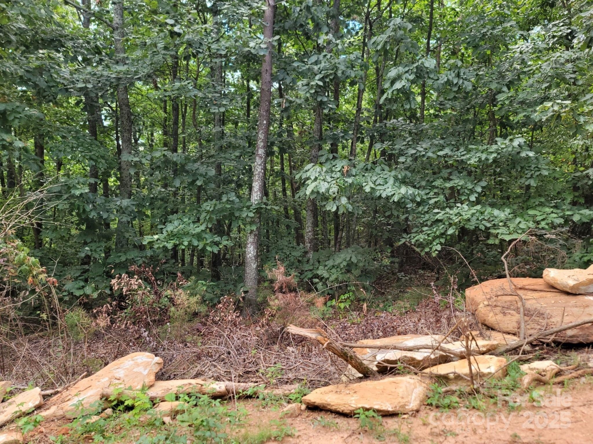 Land in Peaceful Casar Foothills
