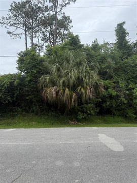 LAND - PALM COAST, FL