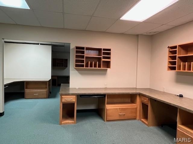 Picture 10