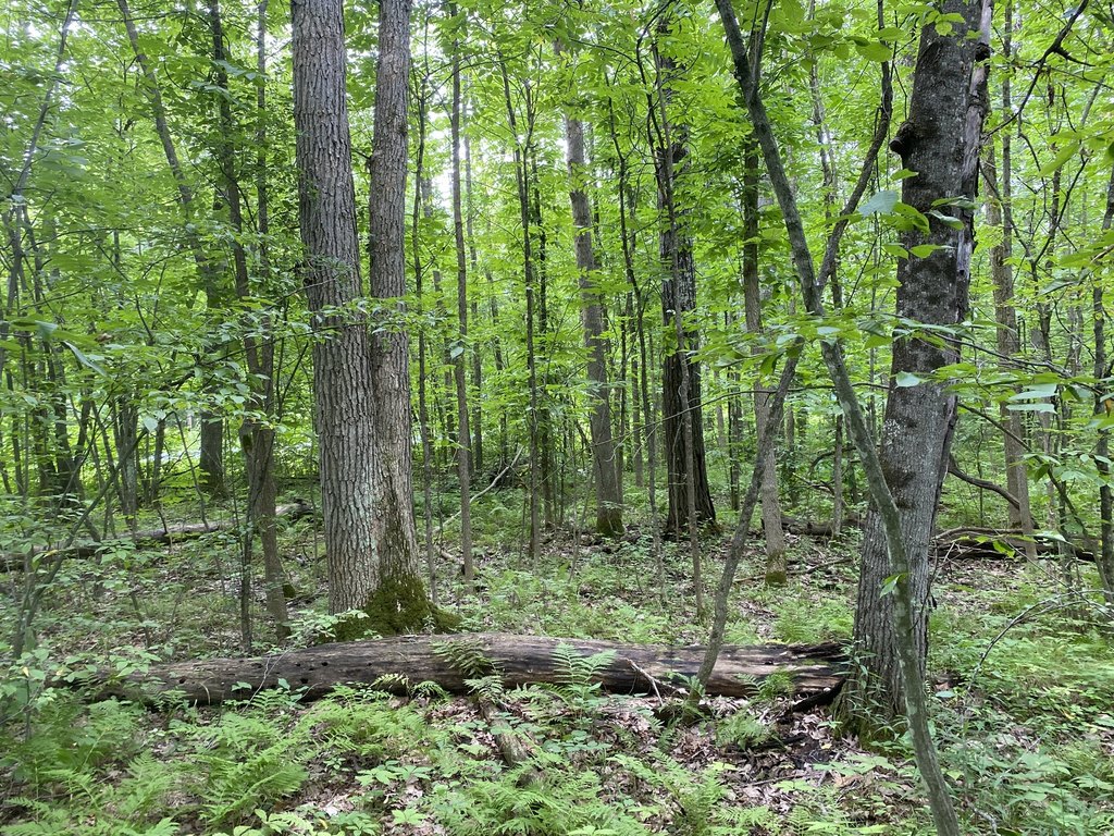 Picture 4