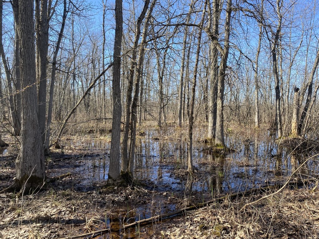 Picture 18