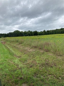 Land, Dansville, NY