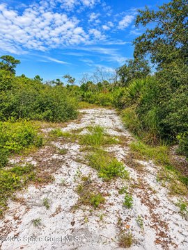 Land, Mims, FL