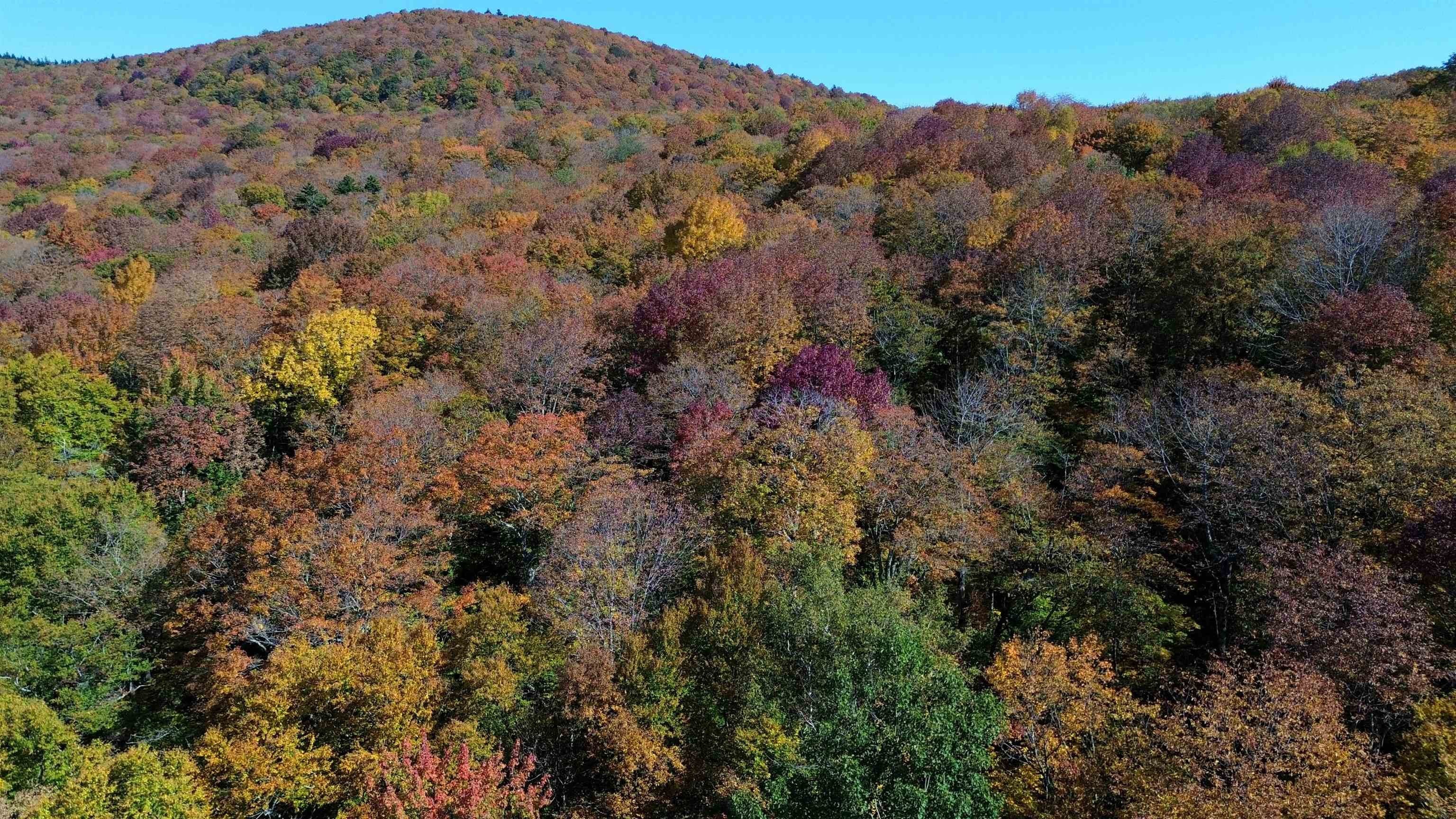 Shrewsbury VT Land for Sale