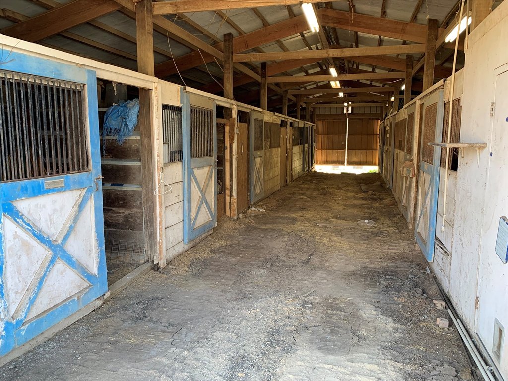 Picture 18