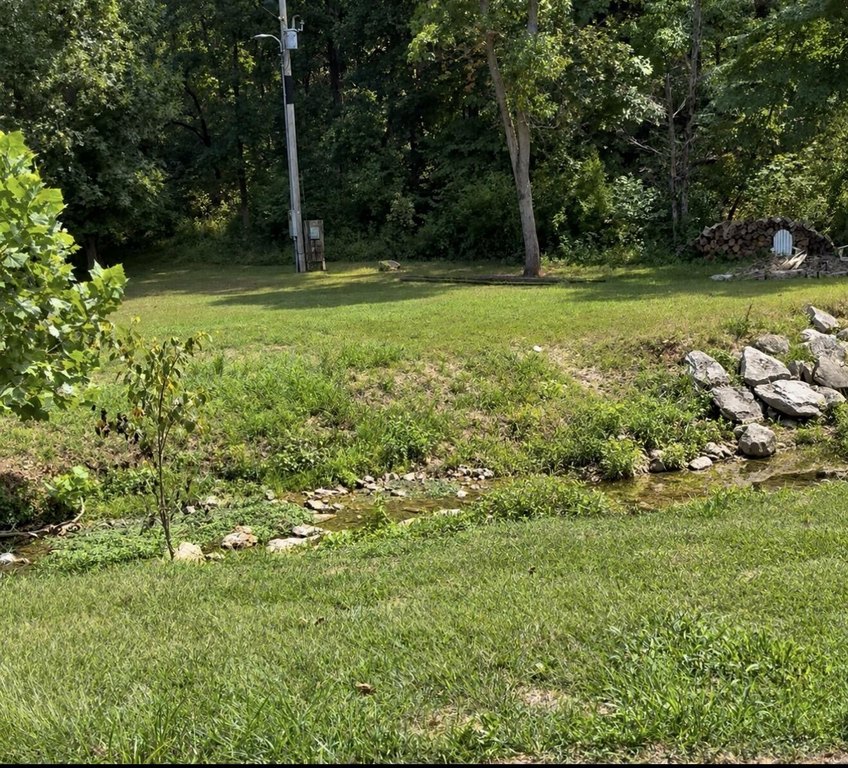 Picture 2