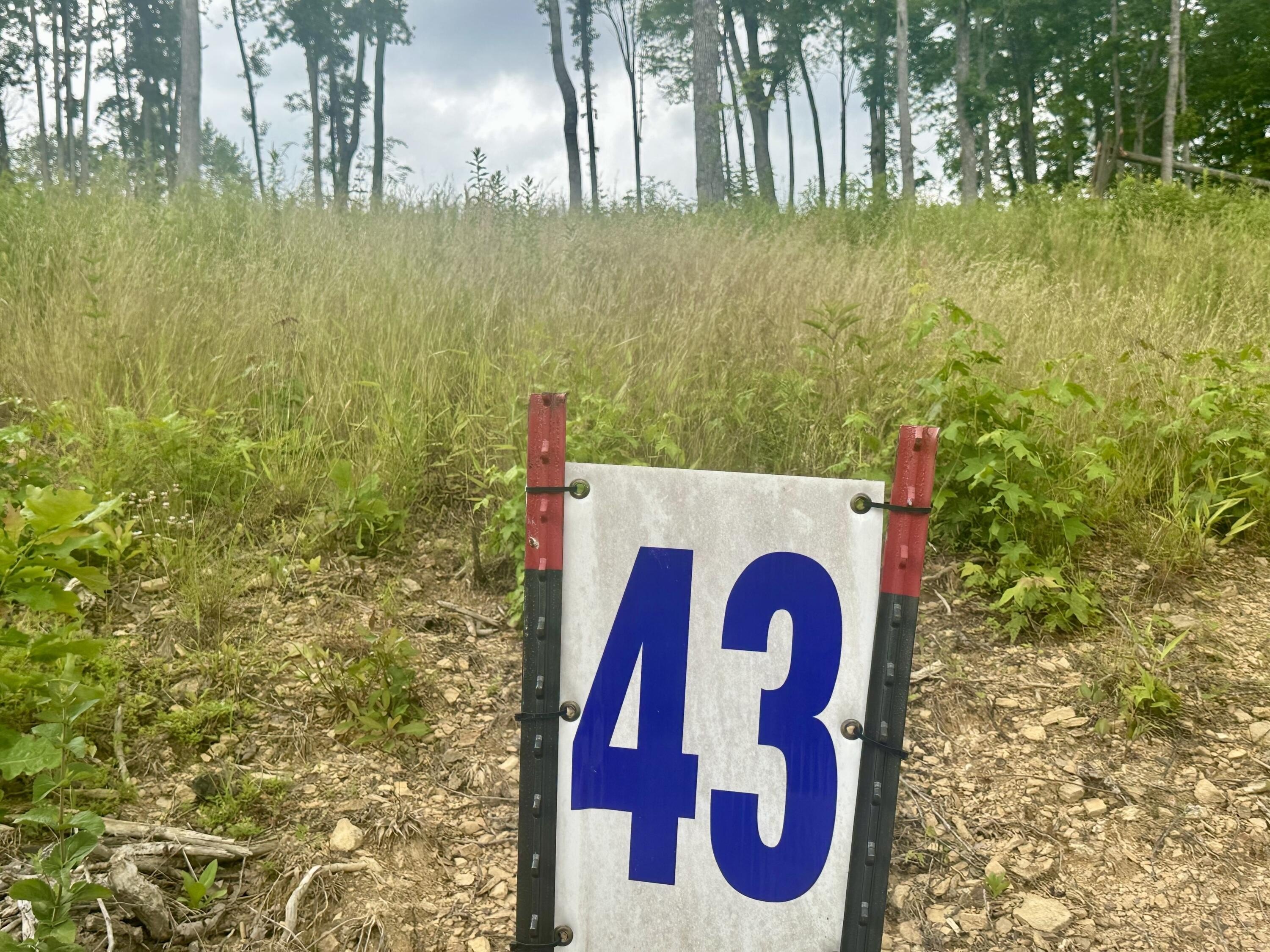 Residential Building Lot in Corbin