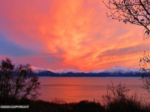 Land, Homer, AK
