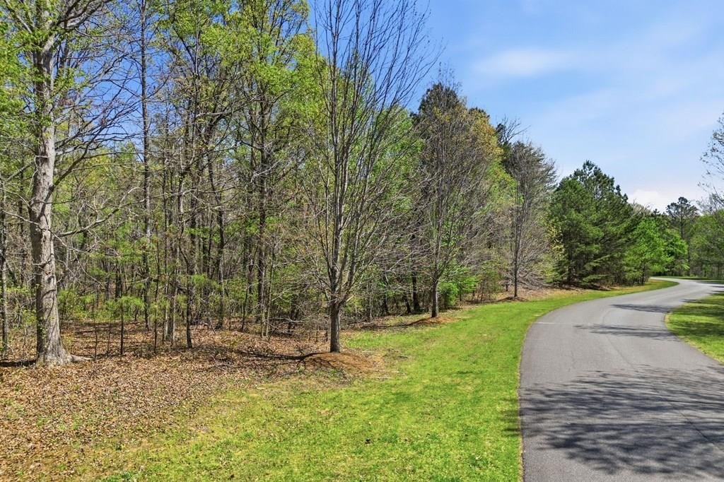 Homesite in Flatbottom Farms