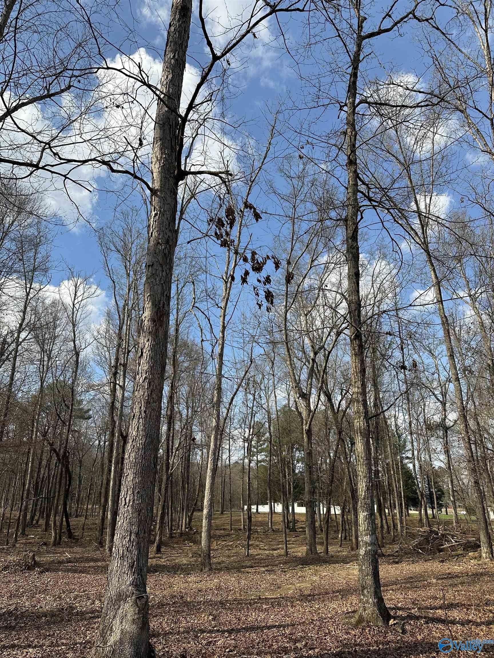 Trinity, AL Commercial Land