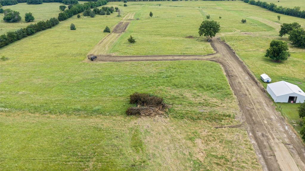 Picture 5