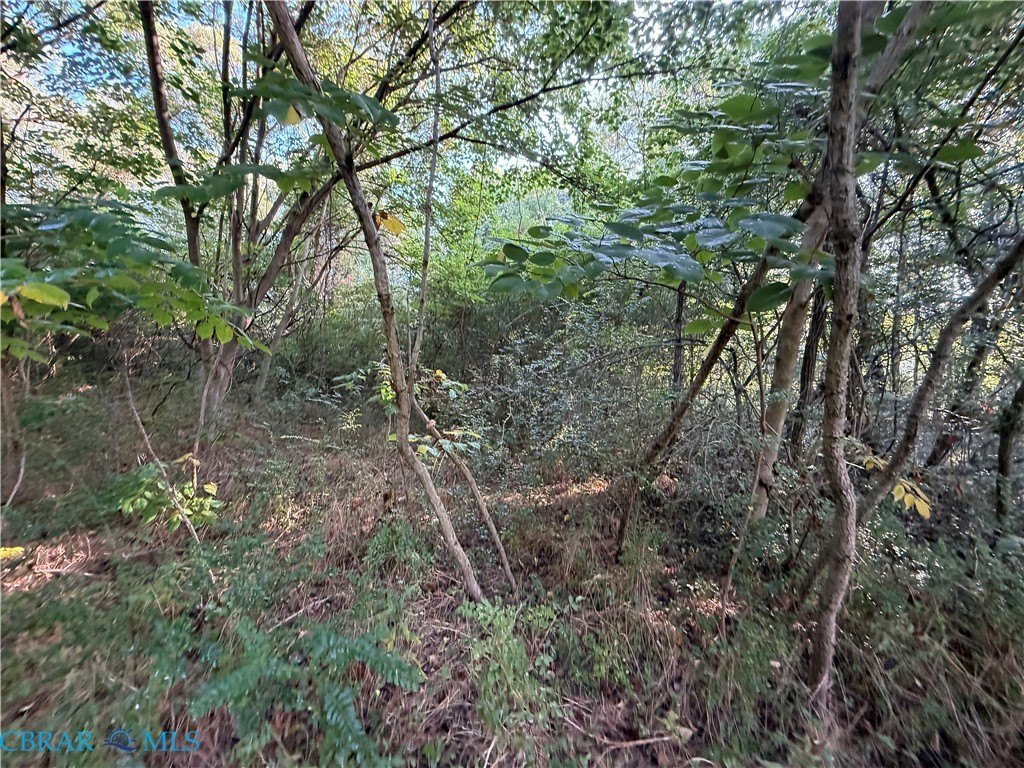 Picture 4