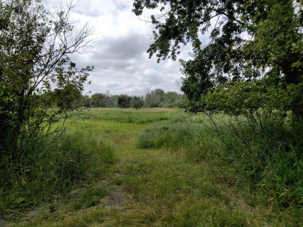 Picture 21
