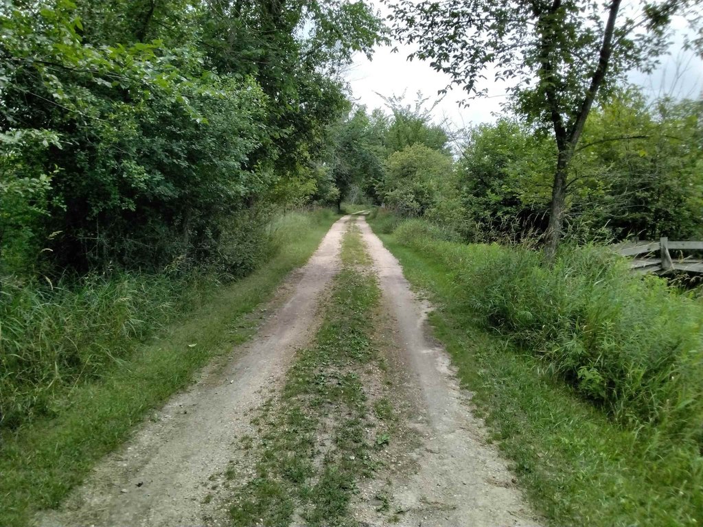 Picture 8