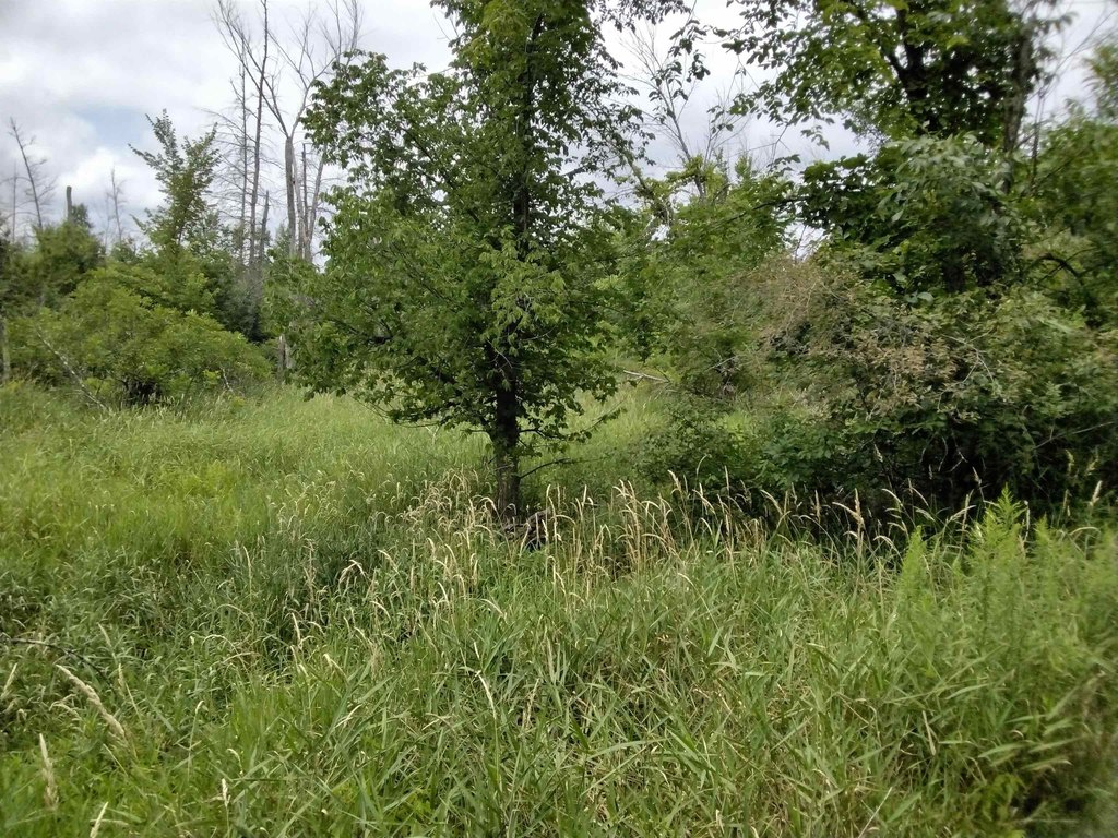 Picture 7