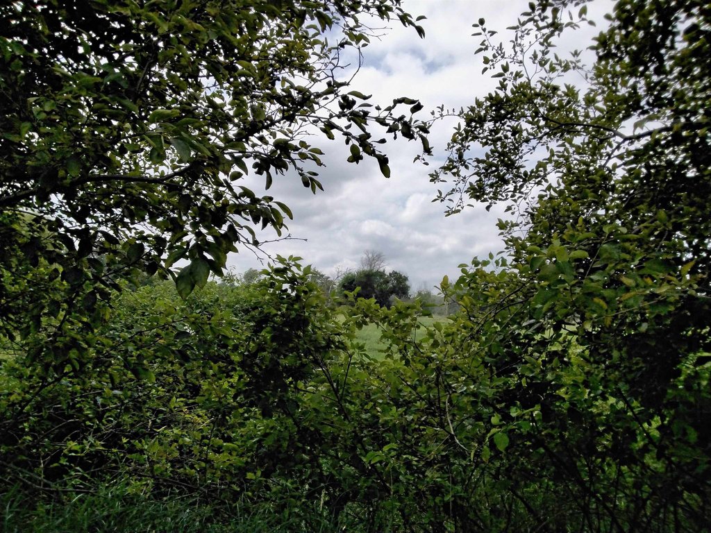 Picture 19