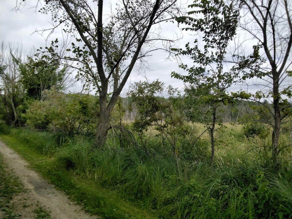 Picture 18