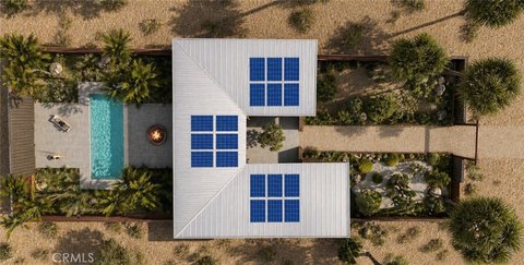 2.5 Acres in Wonder Valley