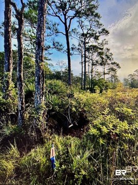 Gulf Shores Building Lot