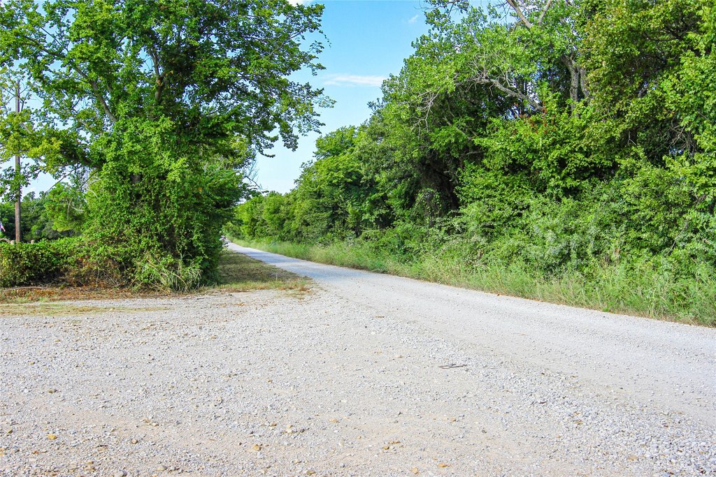 Picture 33