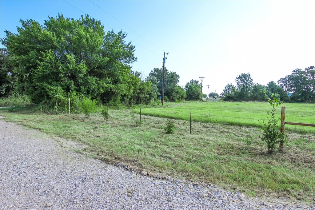 Picture 31