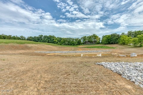 Estate-Sized Level Land Parcel