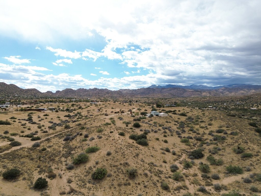 Picture 16