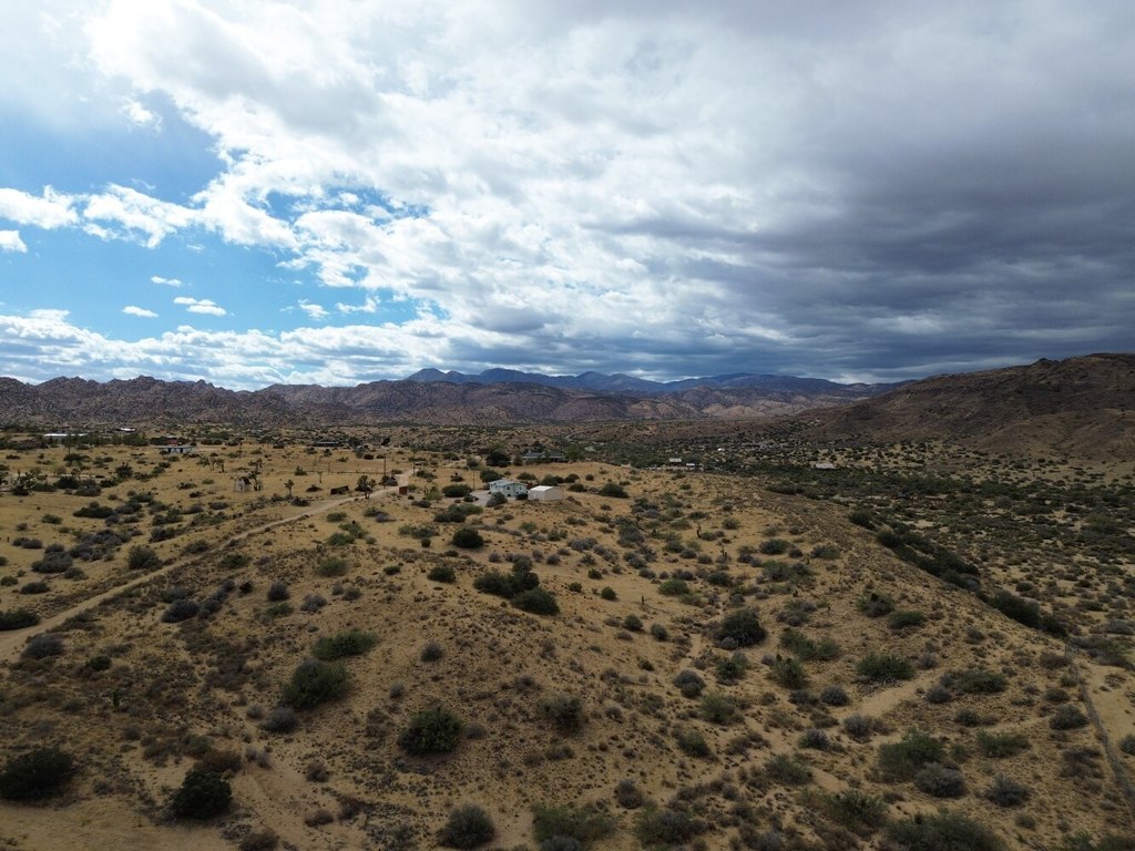 Picture 13