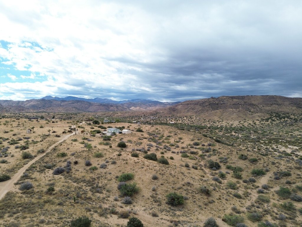 Picture 11