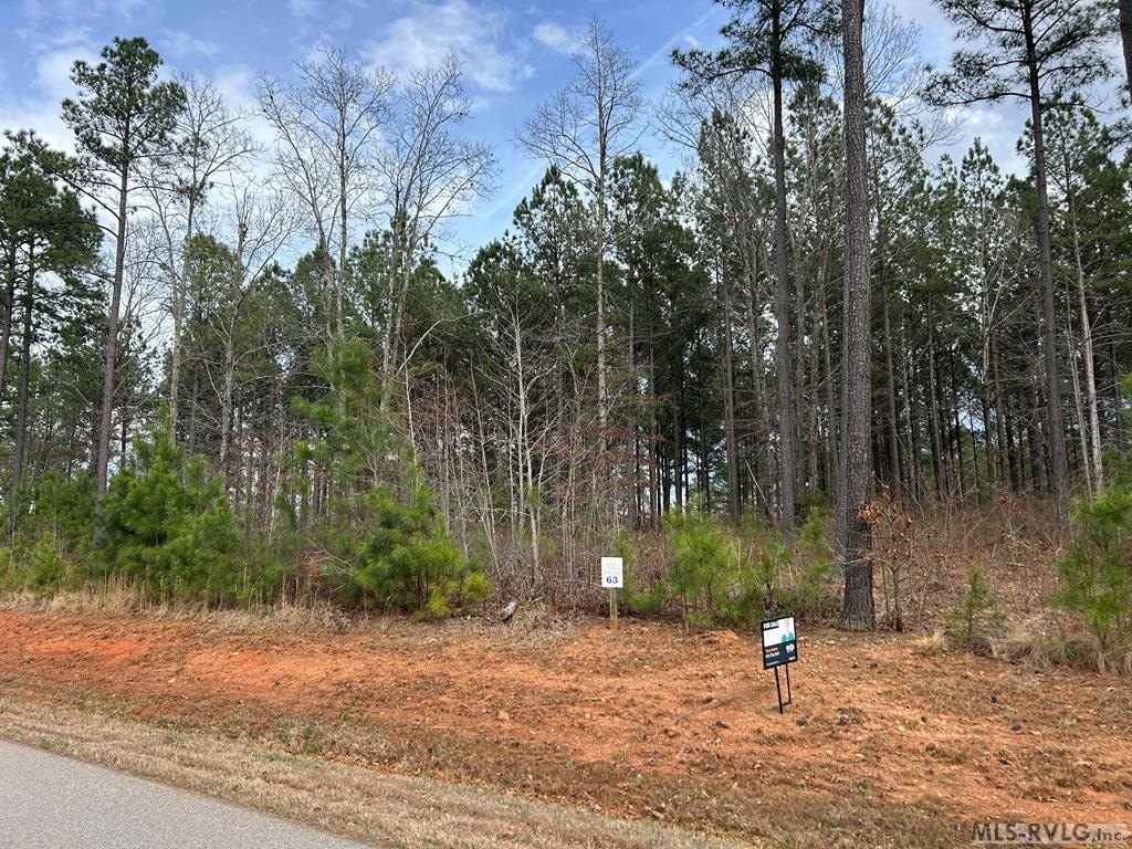 Water View Lot in Macon