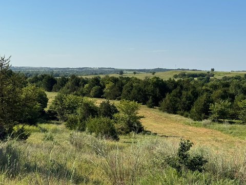 Fenced Agricultural Land