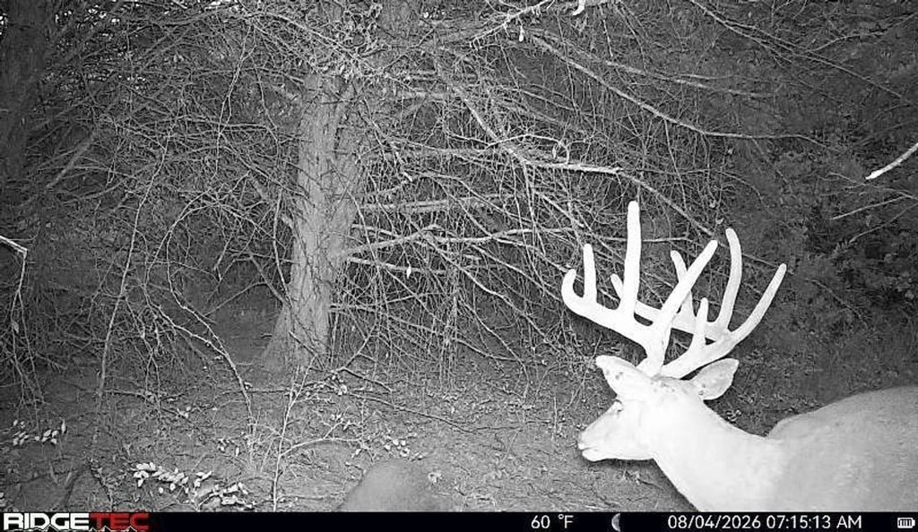 Picture 14