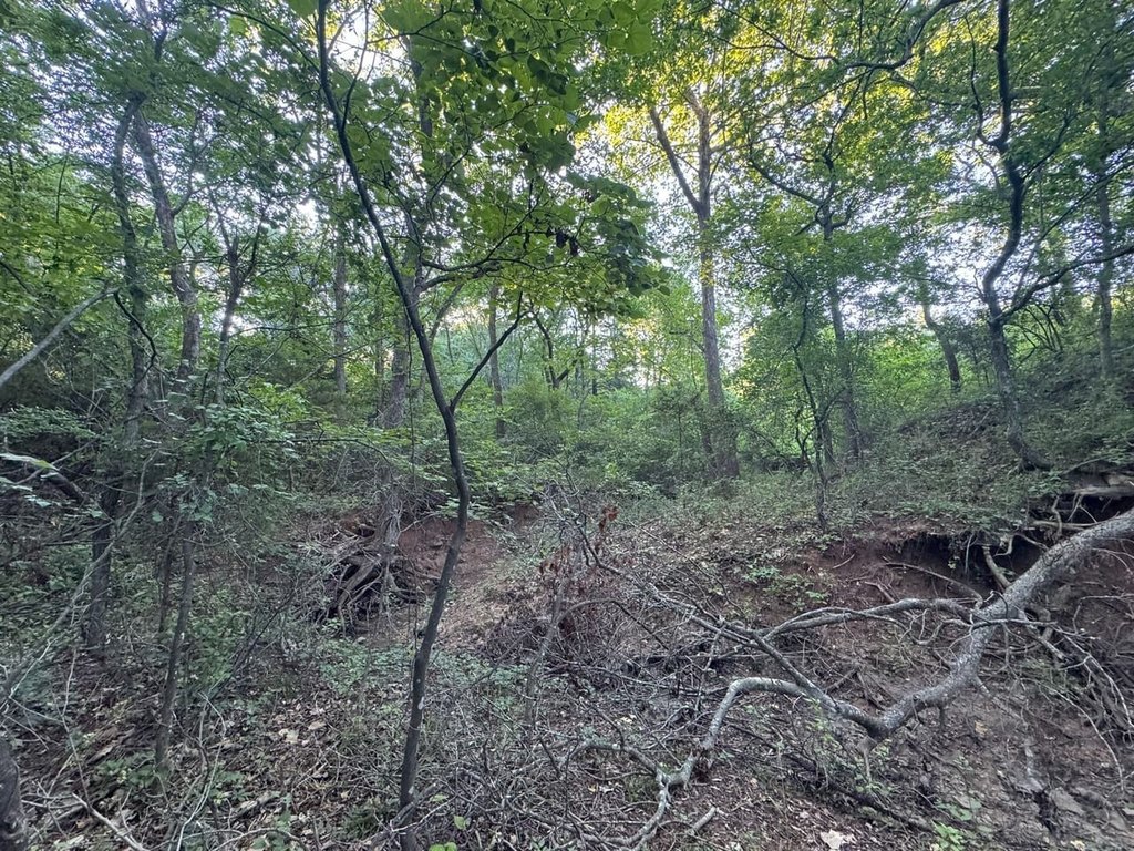 Picture 25