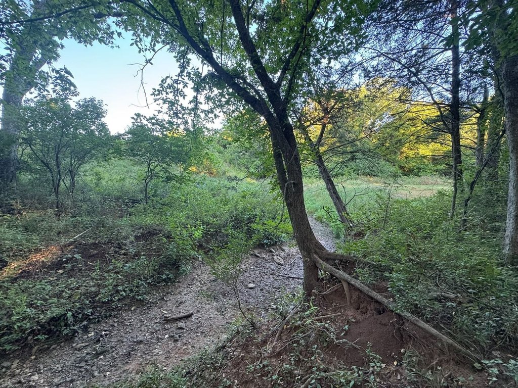 Picture 23