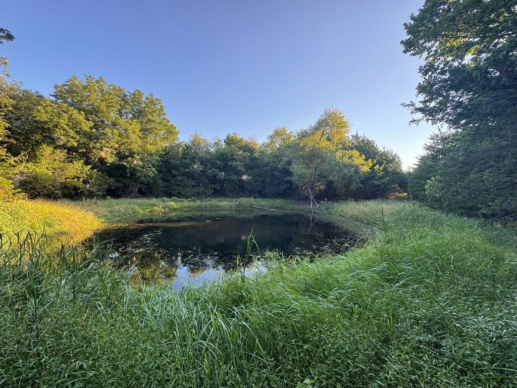 Picture 24
