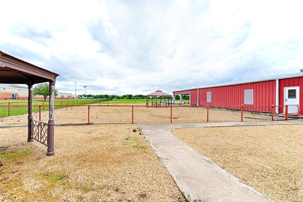 Picture 9