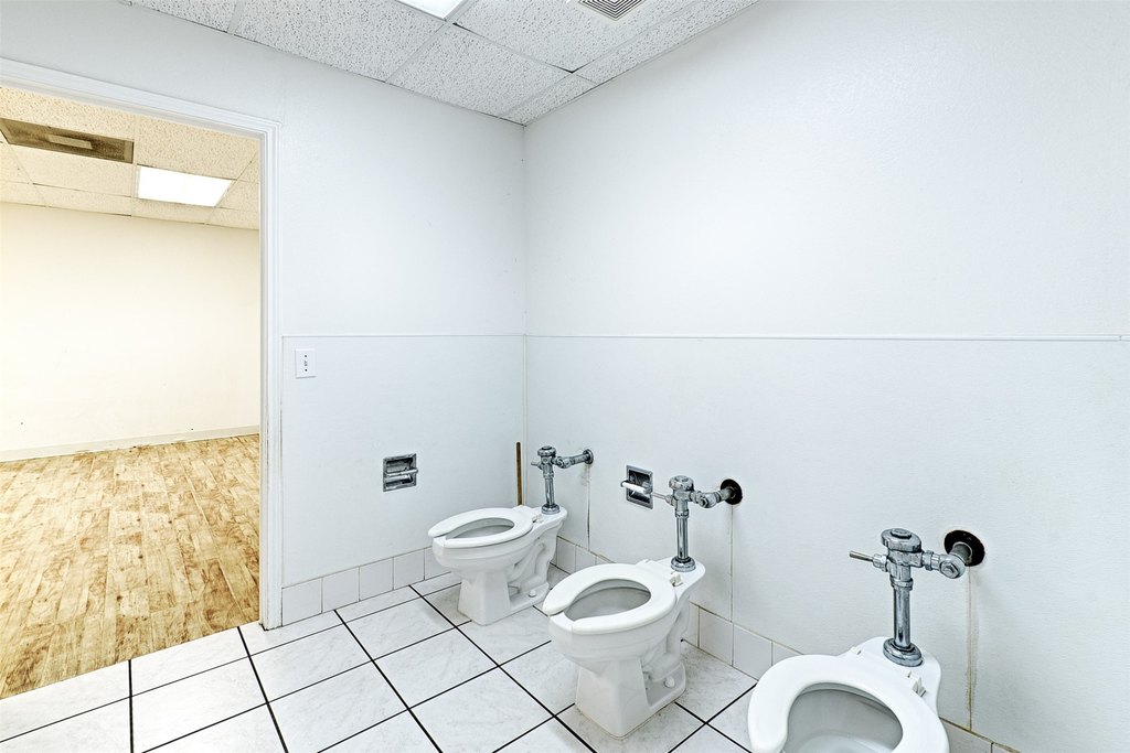 Picture 15