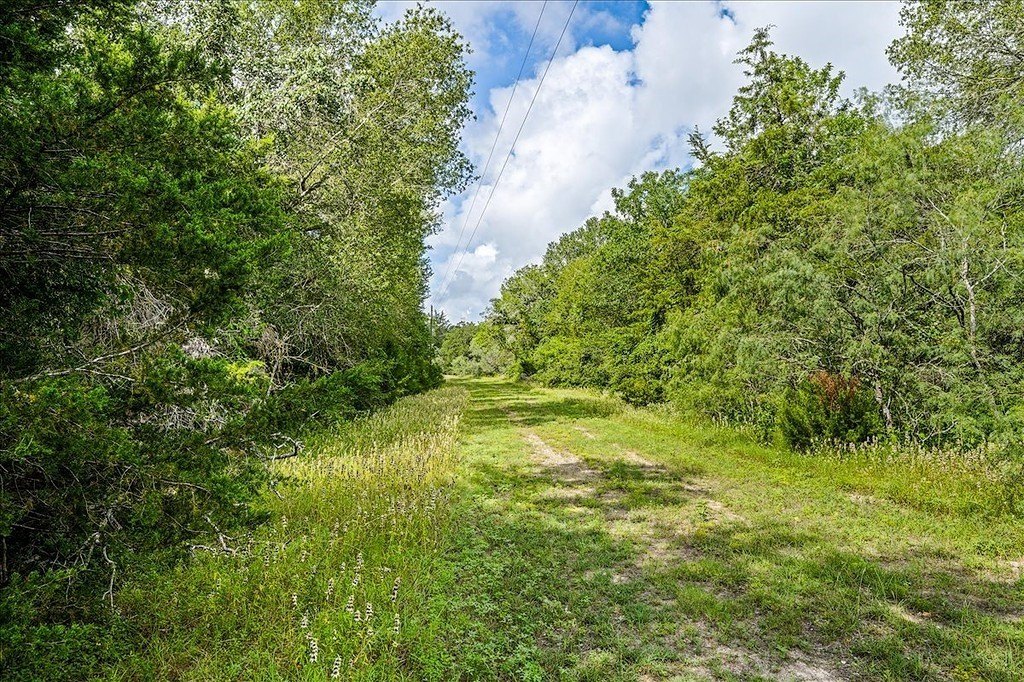 Picture 25
